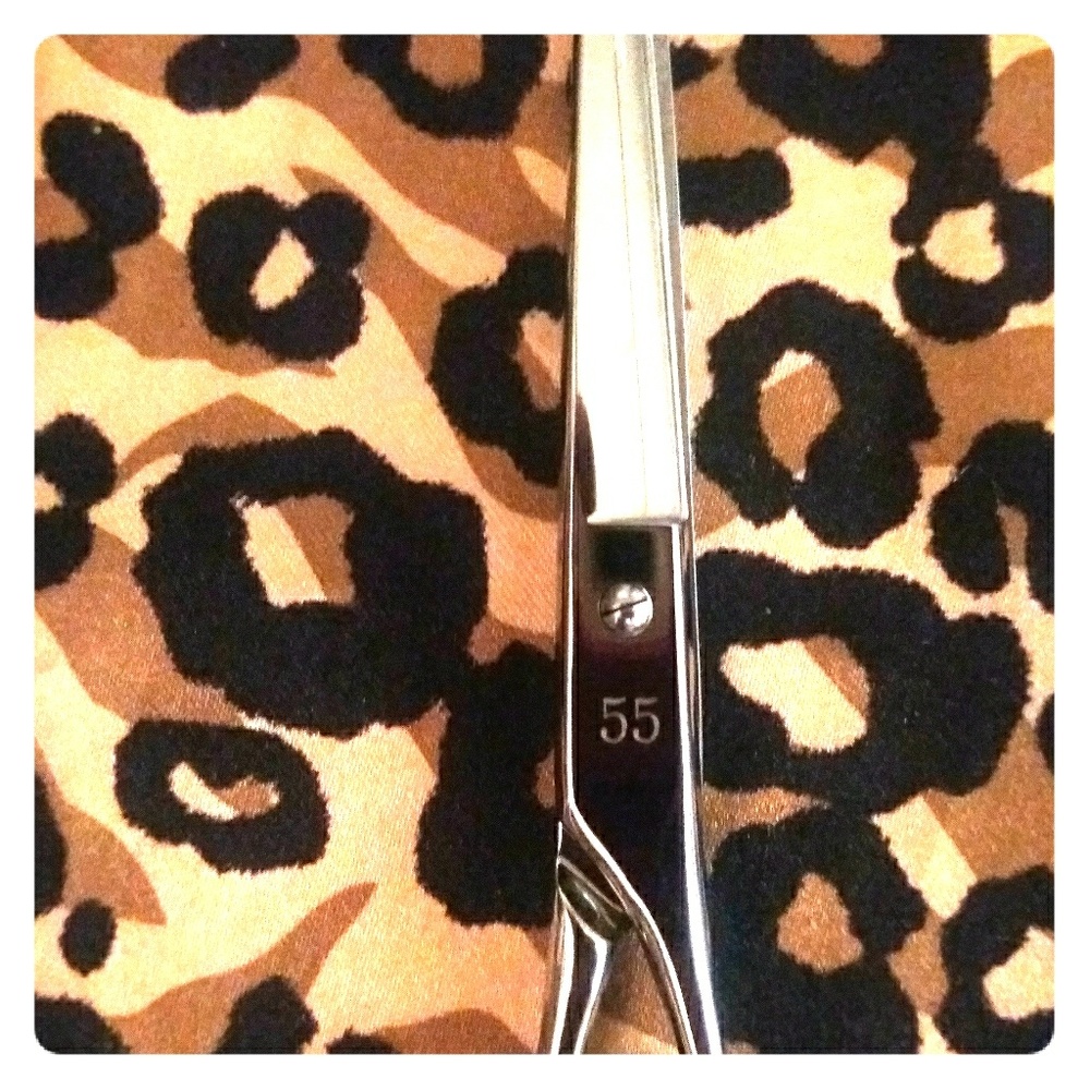 Joewell Professional Cutting Shears